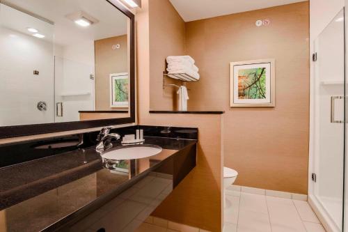斯奈德Fairfield Inn & Suites by Marriott Snyder的一间带水槽、镜子和卫生间的浴室