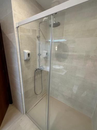穆特里库Apartamento Mauleon 5的浴室里设有玻璃门淋浴