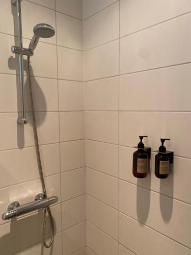 兹沃勒Buitenplaats de Luwte的浴室提供2瓶淋浴肥皂