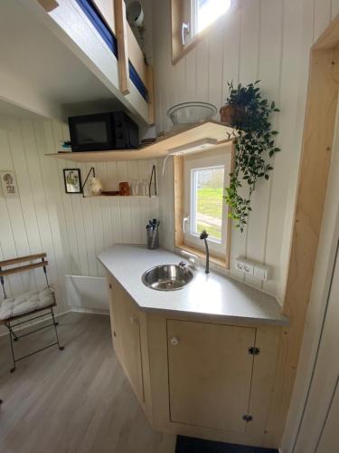 格林斯泰兹Kroghs Tiny Houses - Hyttebyen的一个小房子里一个带水槽的厨房