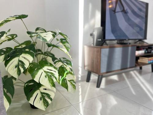 峇六拜Sun Executive Suite Entire Unit @Bayan Lepas #5pax #Queensbay #SPICE #100Mbps的客厅里的盆栽植物,配有电视