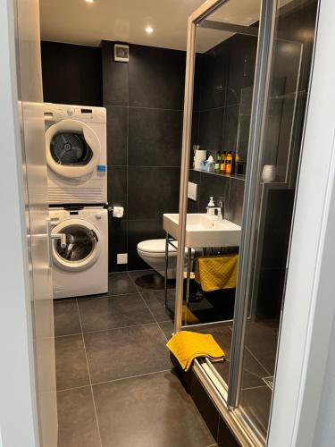 锡永Appartement Tourbillon centre-ville的一间带洗衣机和水槽的浴室