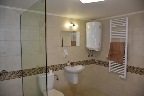 PitschenApartament w Rynku的浴室配有卫生间、盥洗盆和淋浴。