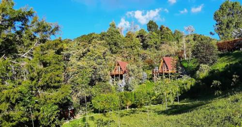 麦德林Chalets en Santa Elena en medio del Bosque的森林山丘上的房屋