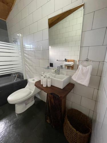 PumillahueVertientes De Pumillahue, Chiloe的浴室配有盥洗盆、卫生间和浴缸。