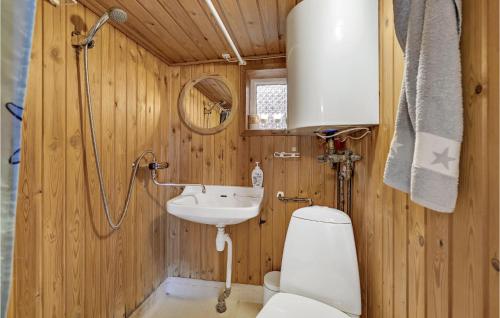 埃斯比约Amazing Home In Esbjerg V With House Sea View的木制浴室设有卫生间和水槽