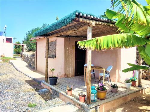 吉亚德伊索拉Finca Gaia La Segunda的一座小房子,设有木甲板,种植了盆栽植物