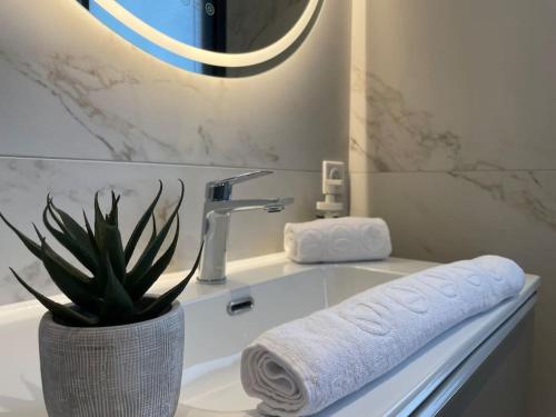 安锡Le Mont-Veyrier, parking et vue的浴室设有水槽、毛巾和植物