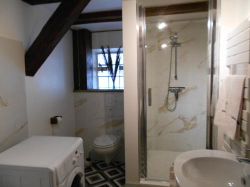 贝格海姆Le Winzer的带淋浴、卫生间和盥洗盆的浴室
