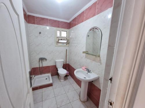 开罗شيماء كسل的一间带水槽和卫生间的小浴室