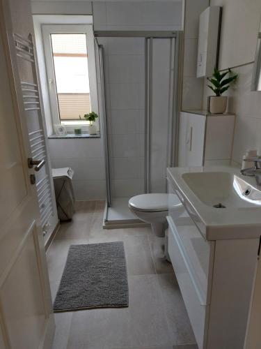 罗斯托克Hyggelige und zentrale Eigentumswohnung的白色的浴室设有水槽和卫生间。
