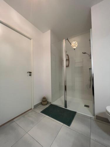 巴约讷Appartement bayonne ellaia的带淋浴、卫生间和盥洗盆的浴室