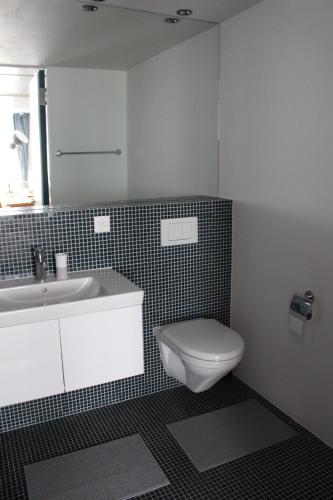 穆尔滕Hotel Jäger的一间带卫生间和水槽的浴室