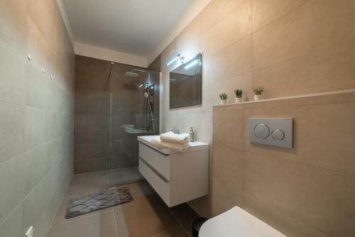 布拉格New apartments near Dancing house的一间带卫生间、水槽和镜子的浴室