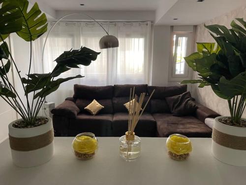 格乔Kukis Duplex Beach near Bilbao的客厅配有带三株植物的桌子