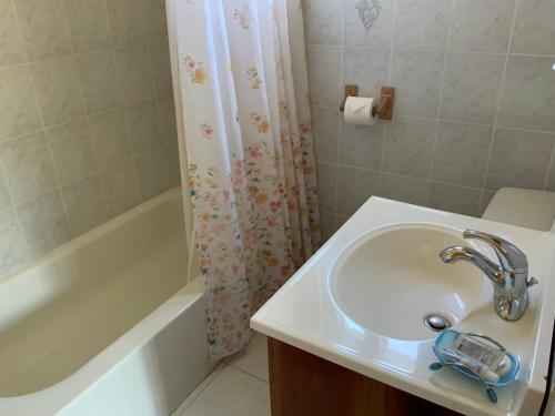 蒙特哥贝Poinciana House的一间带水槽和淋浴帘的浴室