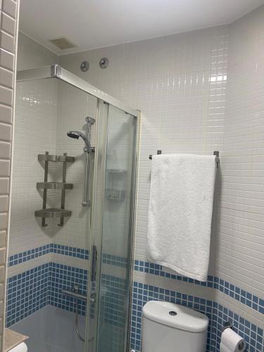 萨莫拉Apartamento casco histórico的带淋浴、卫生间和毛巾的浴室