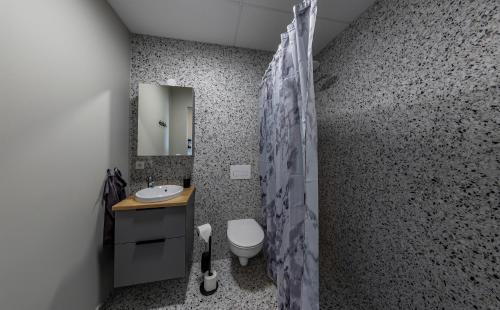 雷克雅未克Iceland SJF Apartments - 503的一间带水槽、卫生间和镜子的浴室