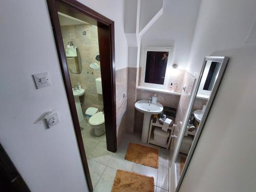 斯梅代雷沃HostelChe Guest House的一间带水槽和卫生间的小浴室