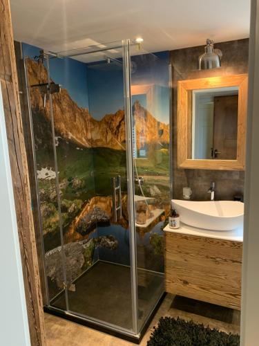 TrogenAllegra Appenzell的带淋浴和盥洗盆的浴室