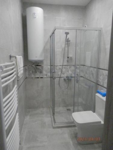 索非亚Апартамент Нова Дружба 2的浴室设有玻璃淋浴间和卫生间