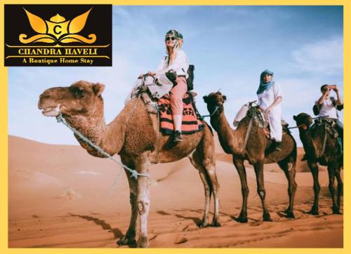 斋沙默尔Chandra Haveli Boutique Homestay的一群人骑在沙漠骆驼背上