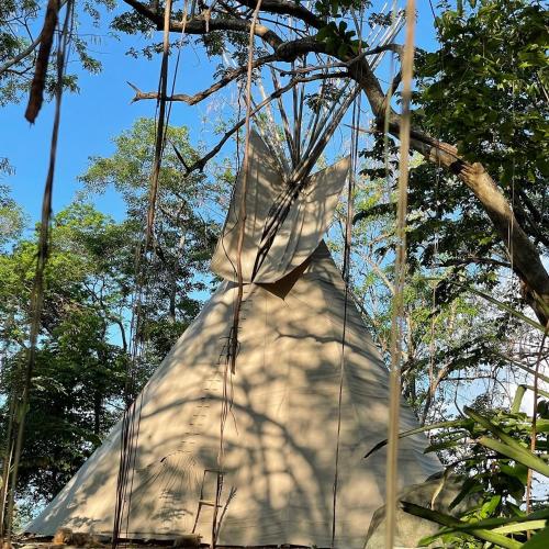 诺萨拉Casita Ylang Ylang的挂在森林中的一棵树上的风筝