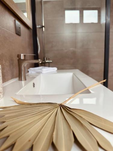 蒙舒瓦西Appartement NOAM, Mont Choisy的浴室配有白色水槽和浴缸。