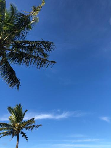 弗利康弗拉克Shero Villa的蓝天背景的棕榈树