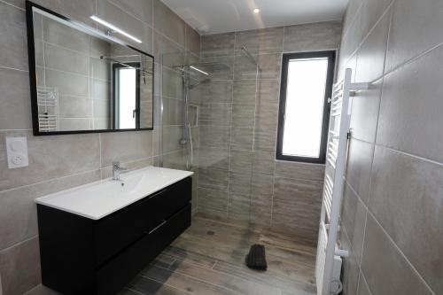 Saint-SavinMaison le Pré de Paul的一间带水槽、淋浴和镜子的浴室
