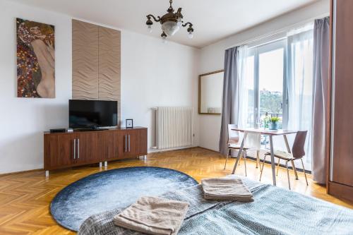 布达佩斯Danube Apartment的客厅配有大地毯和电视