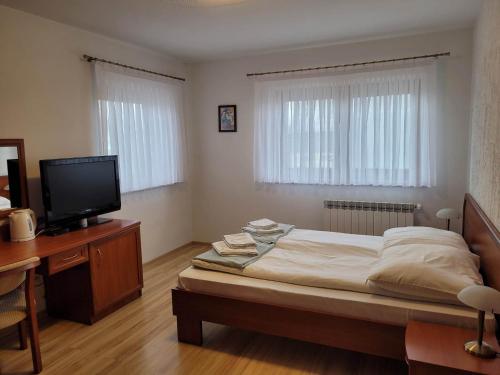 Białka TatrzanskaU Juhasa Miętówka的一间卧室配有一张床、一张书桌和一台电视