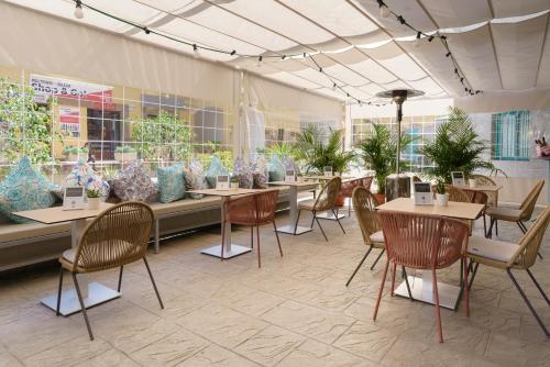 拉克鲁斯Alua Tenerife的一间设有桌椅的餐厅,种植了植物
