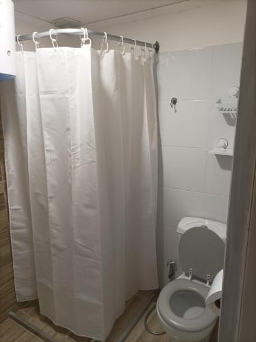 梅塞德斯Lavalleja 71 II的浴室配有白色的浴帘和卫生间