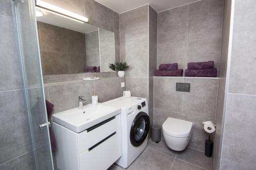 布尔诺Apartmány Viviena的浴室位于卫生间旁,配有洗衣机。