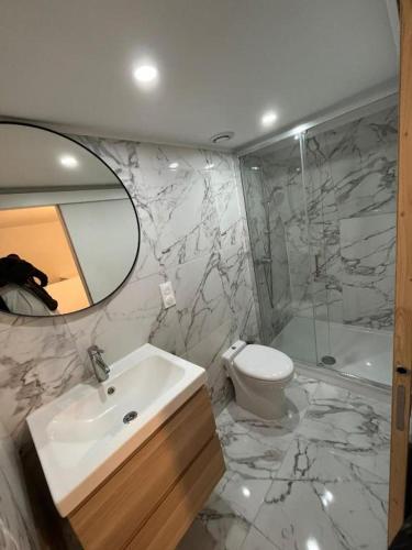 里尔Maisonnette Numero 7的一间带水槽、卫生间和镜子的浴室