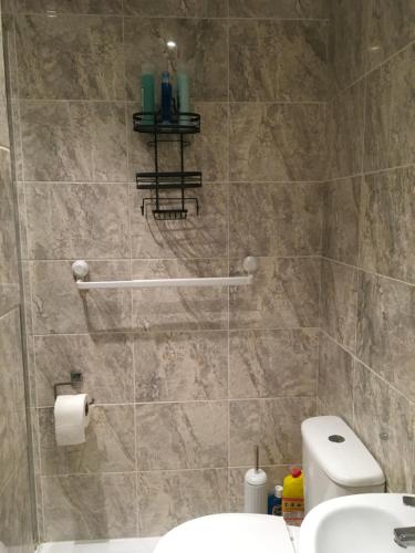 Slades GreenPrivate One Bedroom Apartment的带淋浴、卫生间和盥洗盆的浴室