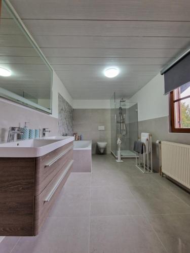 湖滨福煦Ferienwohnung am Fuschlsee的一间带水槽、浴缸和卫生间的浴室