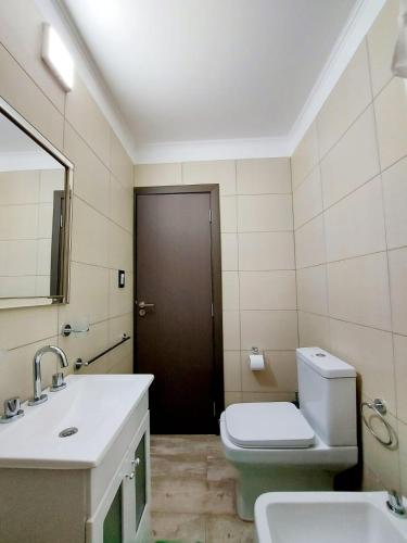 贝纳多图埃托Palas A的一间带卫生间、水槽和镜子的浴室