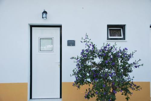 费雷拉杜阿连特茹Monte Ramos的前面有植物的门