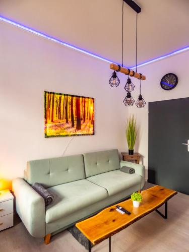 诺伊斯#222 Modernes City Apartment im Herzen von Neuss的客厅配有绿色沙发和桌子