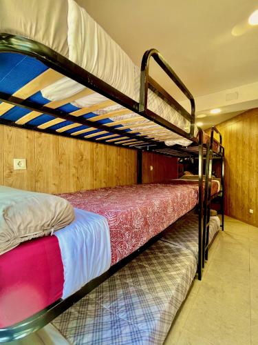 马德里Hostel Best Stay的客房内的两张双层床