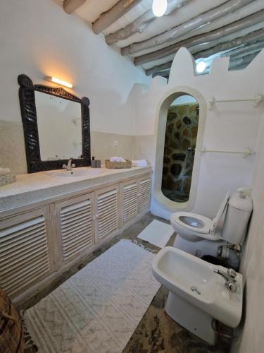 瓦塔穆Waridi House的一间带水槽、卫生间和镜子的浴室