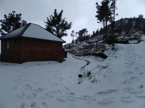 冬天的Mountain Eco Shelter 3