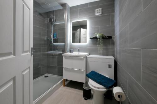 克鲁Crewe Short Lets 6 Victoria Court, Crewe的一间带水槽、卫生间和镜子的浴室
