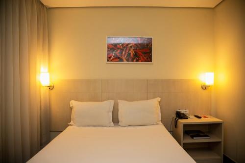 贝伦ibis Styles Belem Batista Campos的一间卧室配有带两个枕头的床和一幅画