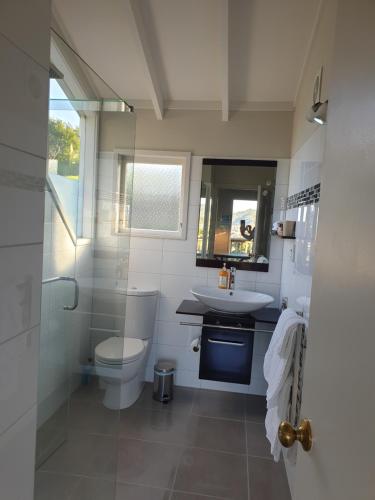 旺阿马塔Brenton Lodge的一间带卫生间、水槽和镜子的浴室