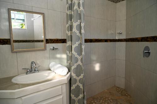 昂斯拉雷区La Vue的一间带水槽和淋浴的浴室