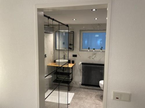 博伦多夫Gemütliche&Moderne Ferienwohnung Nähe Trier & Luxemburg的一间带卫生间、水槽和镜子的浴室