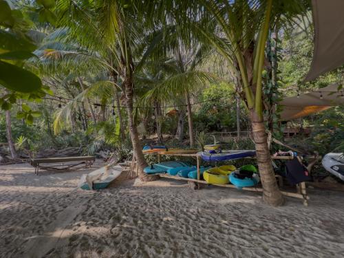 PochoteLos Vivos Beachfront Experience的棕榈树海滩上的一群船